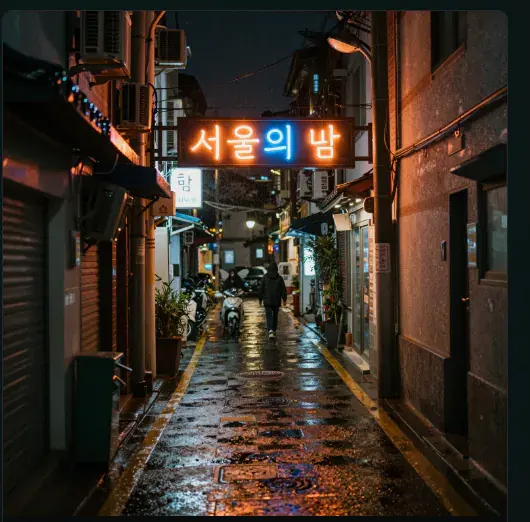 서울 네온 밤거리